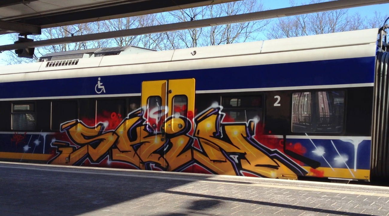 Graffiti Train - Photo by ZUGZWANG - skin (2018)