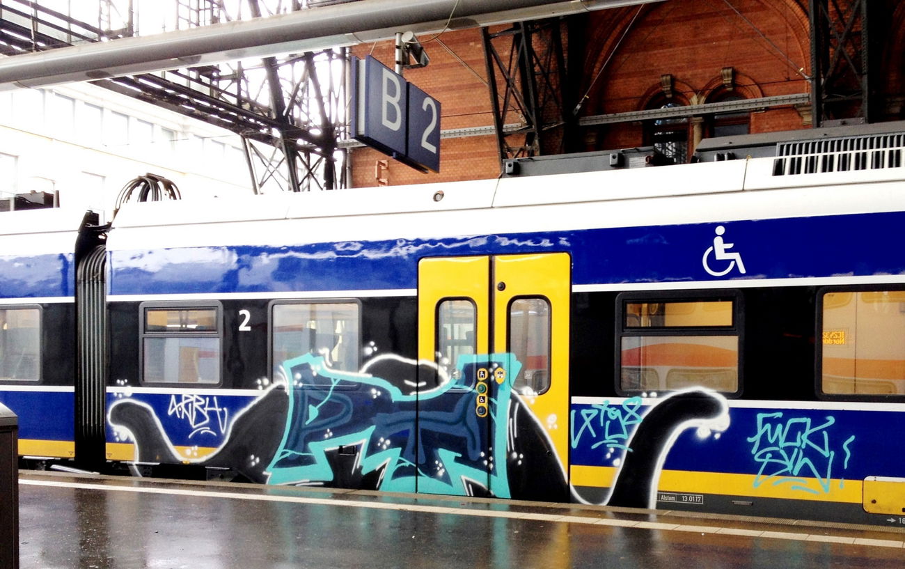 Graffiti Train - Photo by ZUGZWANG (2018)