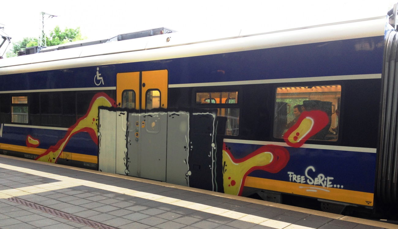 Graffiti Train - Photo by ZUGZWANG (2017)