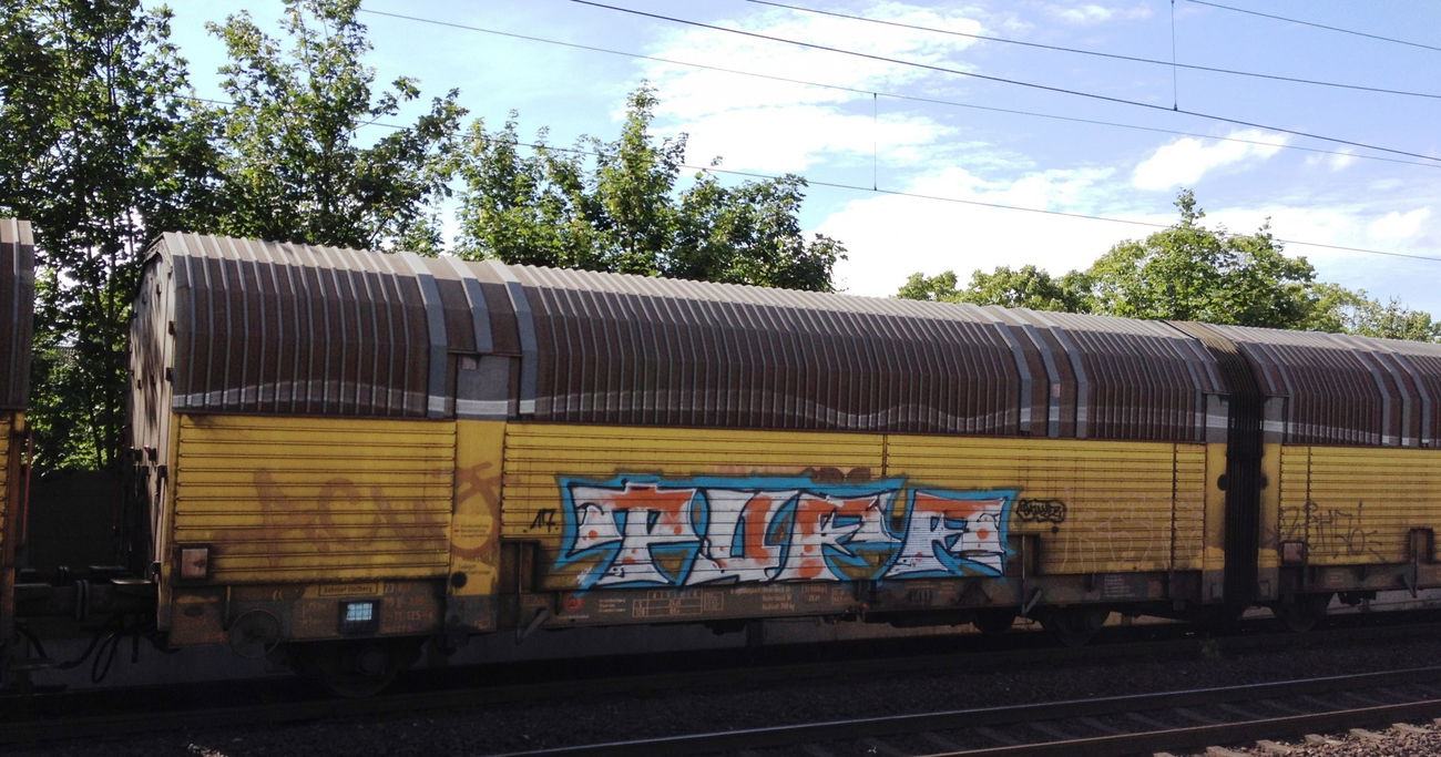 Graffiti Train - Photo by ZUGZWANG