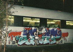 Graffiti Train - Photo by ZUGZWANG - crap