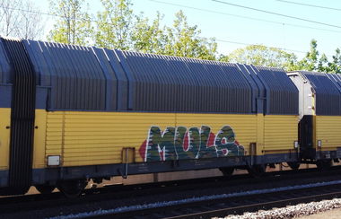 Graffiti Train - Photo by ZUGZWANG - mul