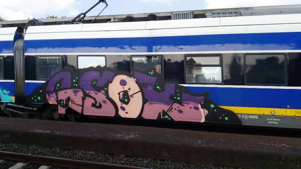 Graffiti Train - Photo by ZUGZWANG - gsox (2016)