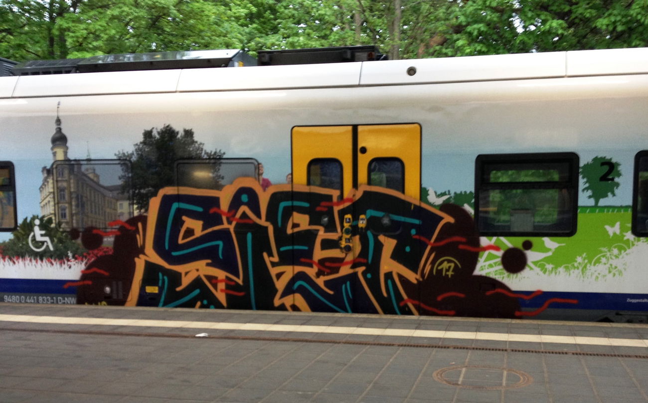 Graffiti Train - Photo by ZUGZWANG - siet (2017)
