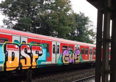 Graffiti Train - Photo by ZUGZWANG - dsf, gms