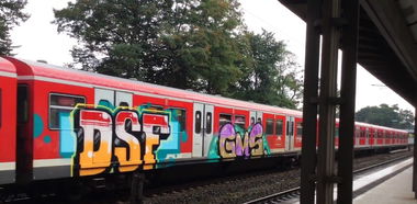 Graffiti Train - Photo by ZUGZWANG - dsf, gms