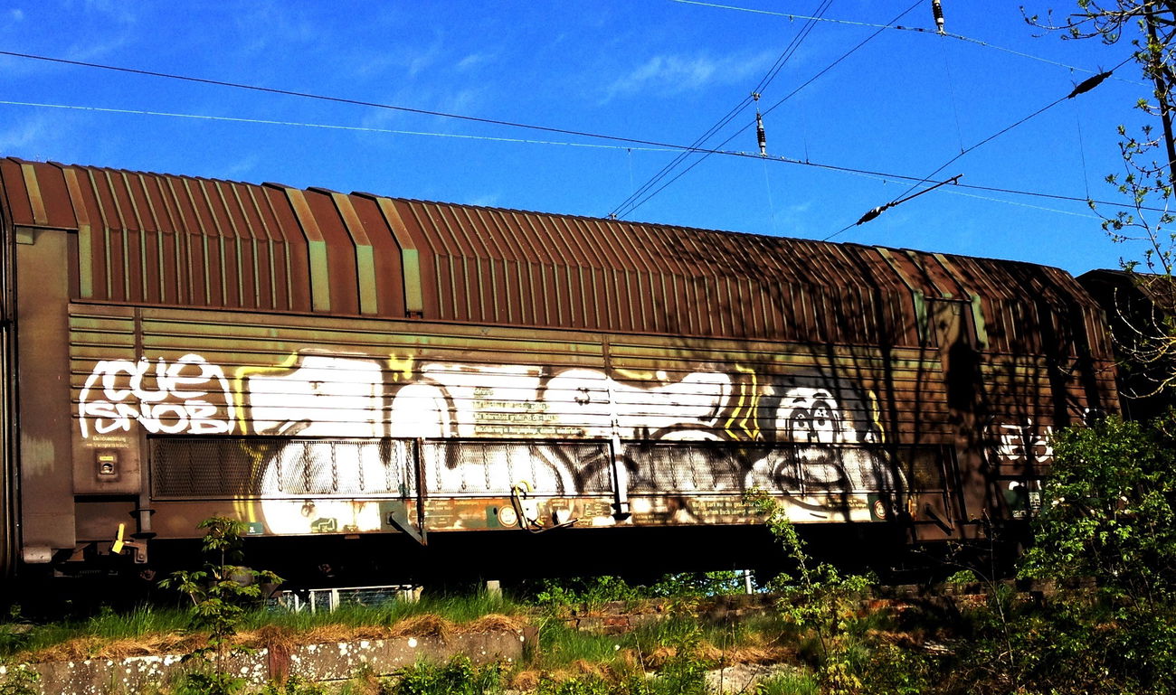 Graffiti Train - Photo by ZUGZWANG