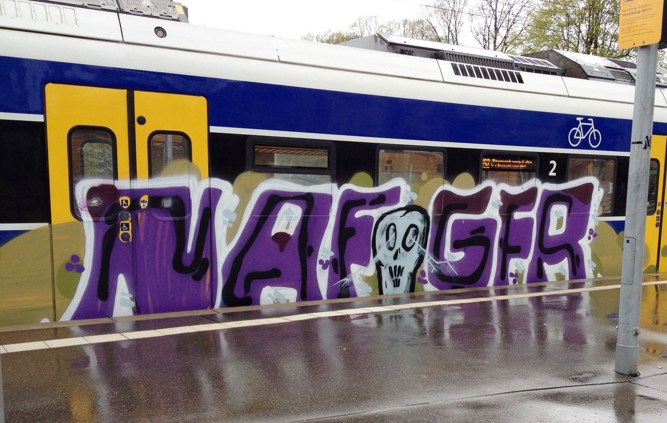 Graffiti Train - Photo by ZUGZWANG - naf, gfr (2017)