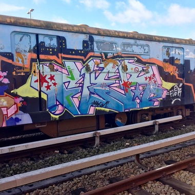 Graffiti Train - Photo by ZUGZWANG - fler