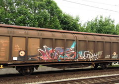 Graffiti Train - Photo by ZUGZWANG - hoes