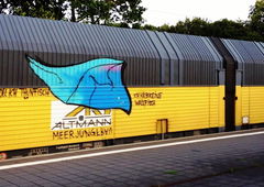 Graffiti Train - Photo by ZUGZWANG
