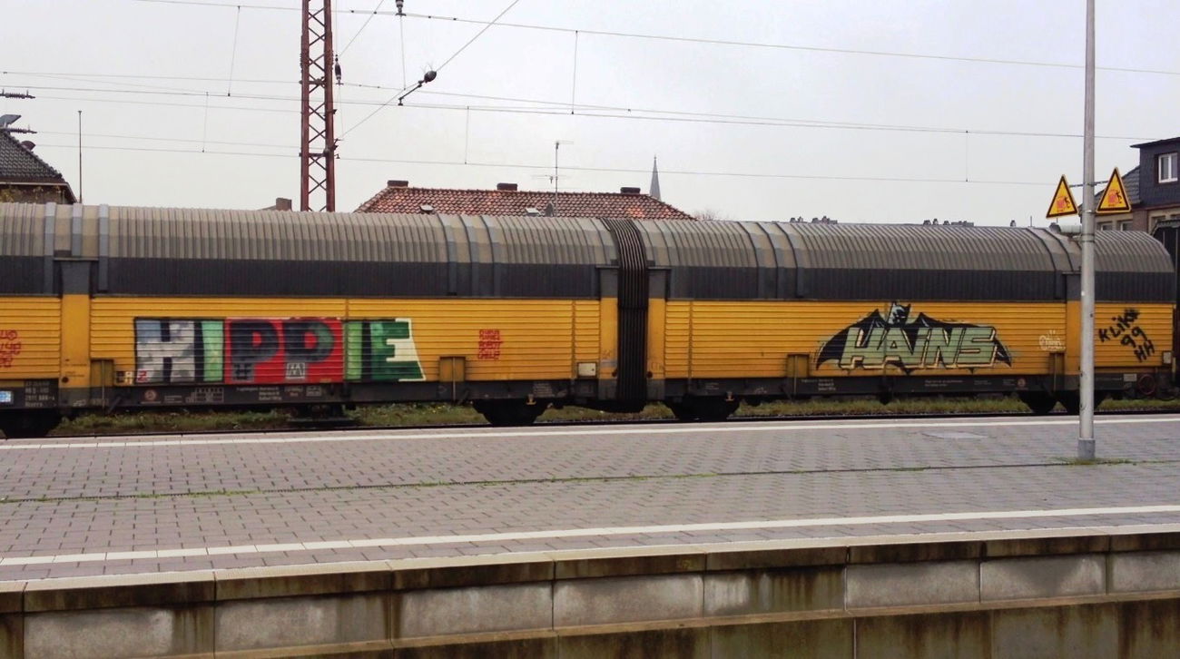 Graffiti Train - Photo by ZUGZWANG - hippie, hains