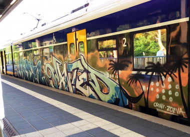 Graffiti Train - Photo by ZUGZWANG - niek, wanted (2017)
