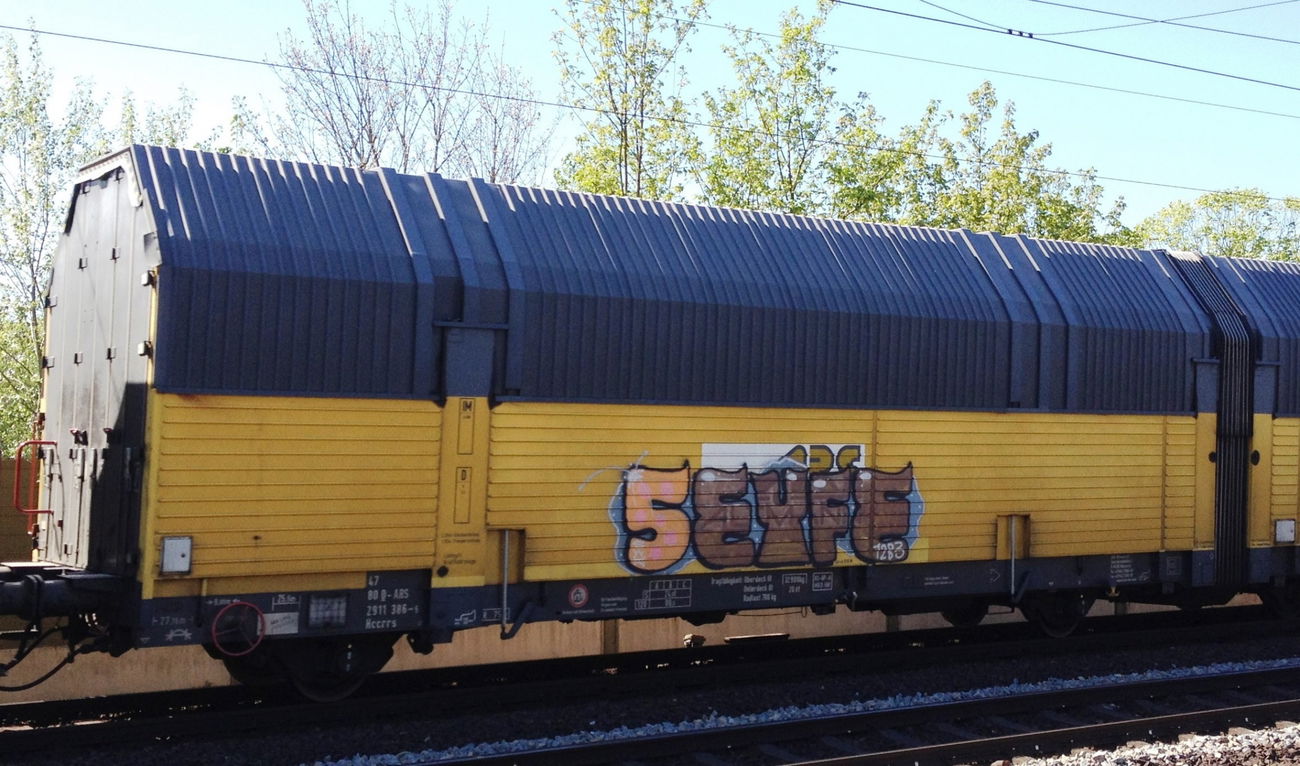 Graffiti Train - Photo by ZUGZWANG - seyfe
