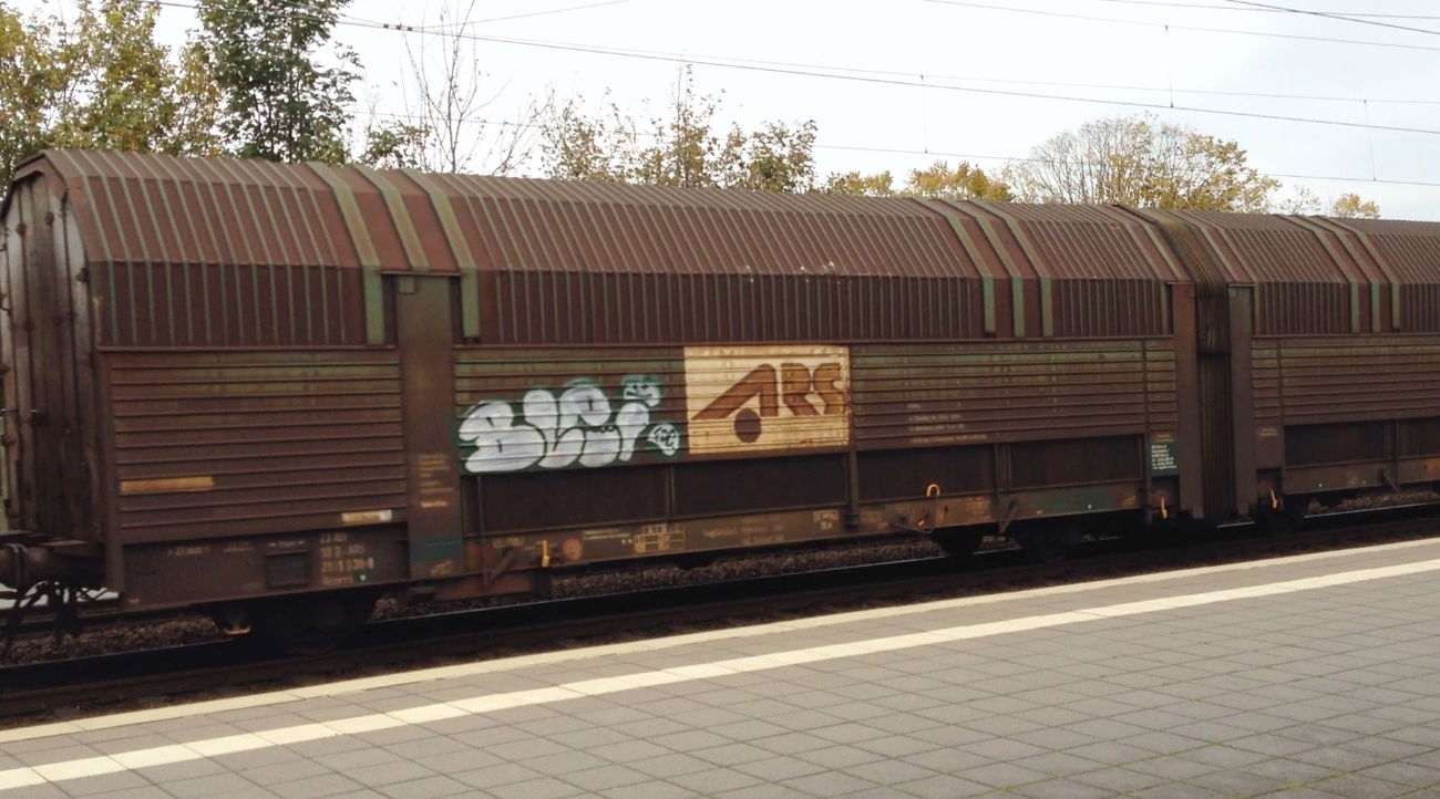 Graffiti Train - Photo by ZUGZWANG - blei