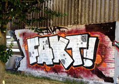 Graffiti Bombing - Photo by ZUGZWANG - fakt (2018)