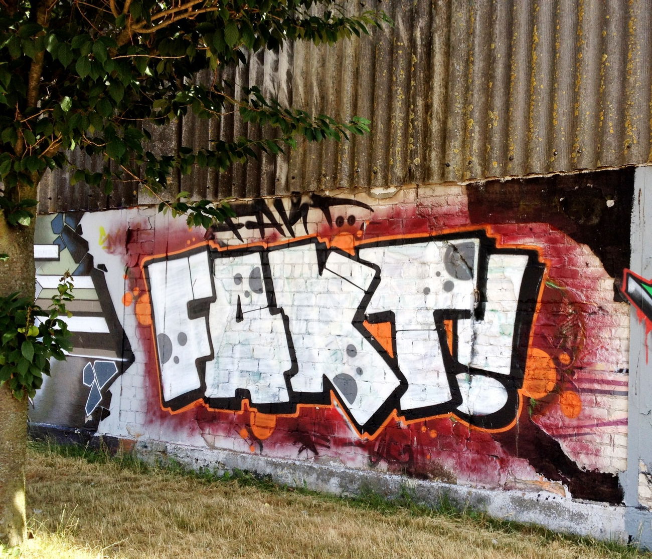Graffiti Bombing - Photo by ZUGZWANG - fakt (2018)