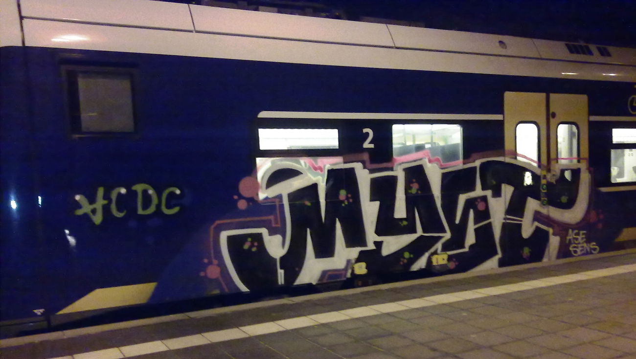 Graffiti Train - Photo by ZUGZWANG (2016)
