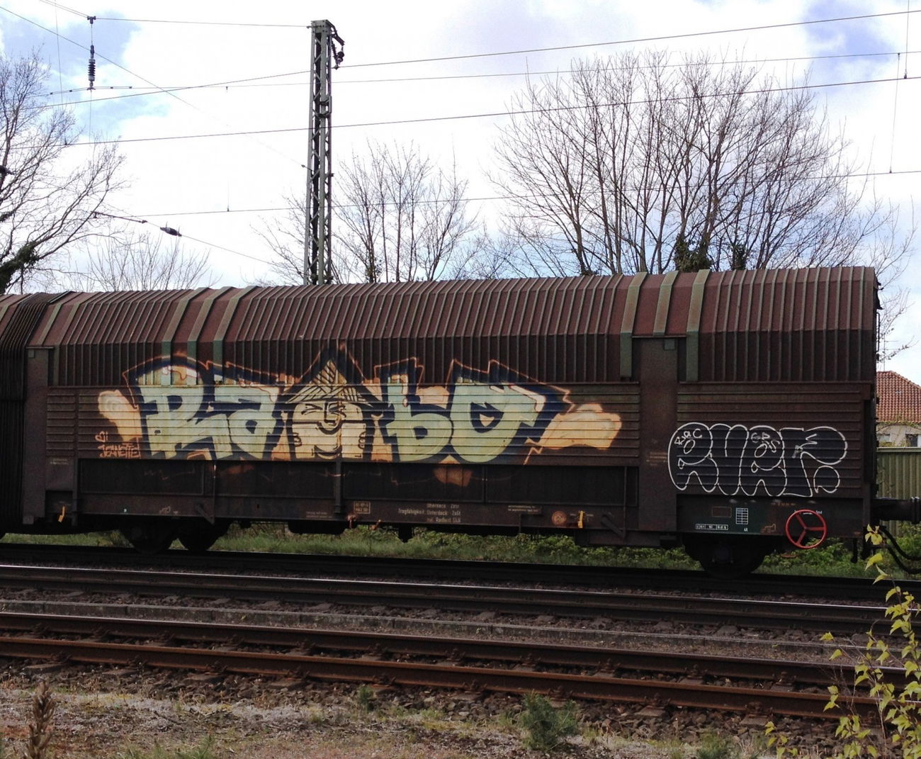 Graffiti Train - Photo by ZUGZWANG - rambo