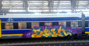 Graffiti Train - Photo by ZUGZWANG - skin (2016)