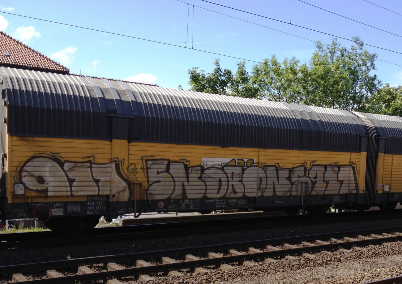 Graffiti Train - Photo by ZUGZWANG - 911, snob