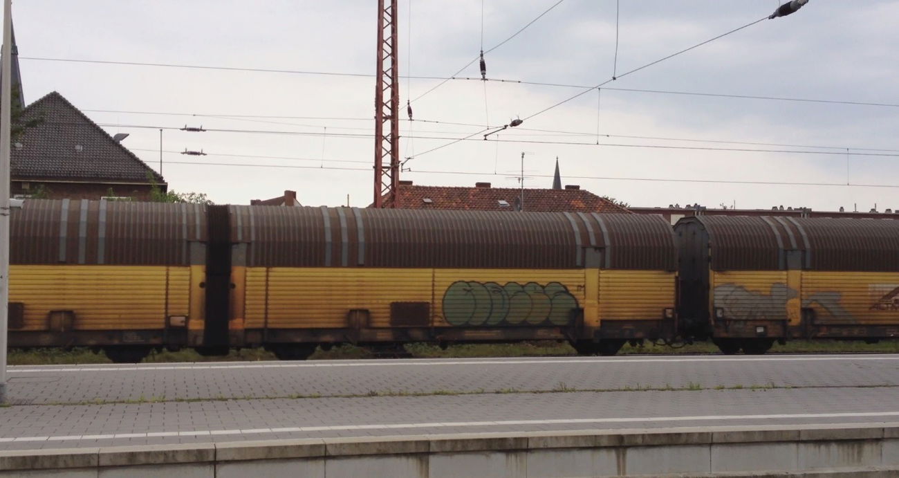 Graffiti Train - Photo by ZUGZWANG - moses
