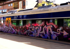 Graffiti Train - Photo by ZUGZWANG - wanted, soya (2018)