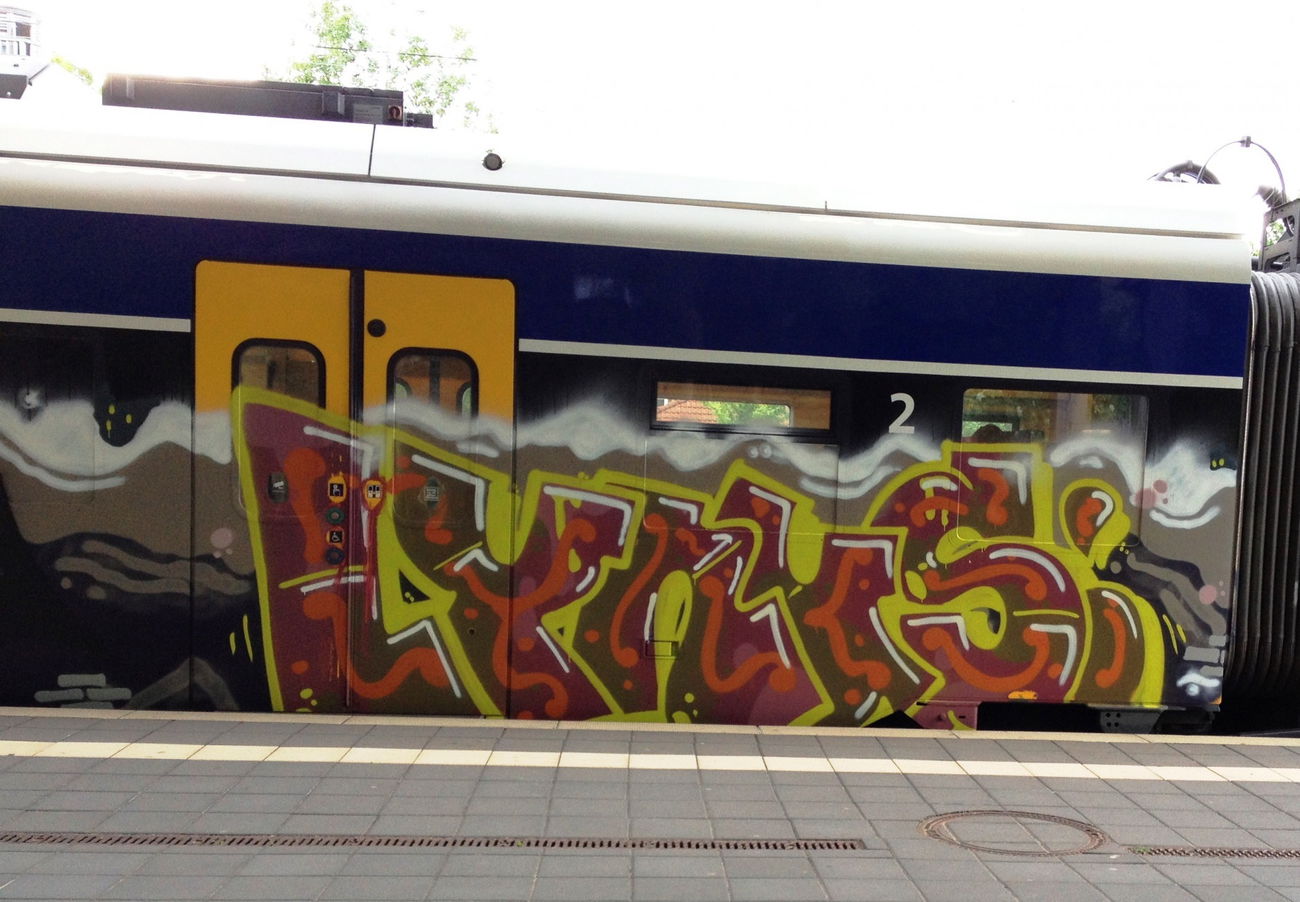 Graffiti Train - Photo by ZUGZWANG - lynus