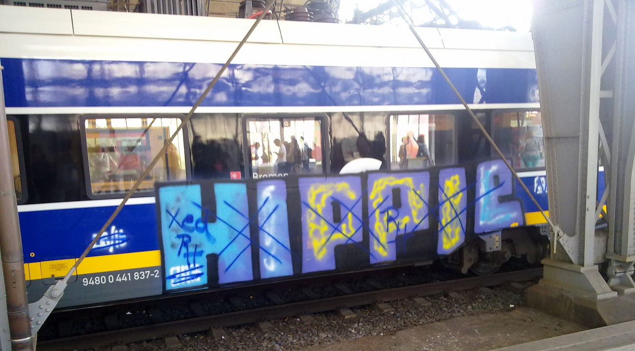 Graffiti Train - Photo by ZUGZWANG - hippie (2016)