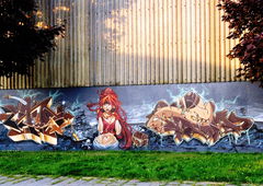 Graffiti Wall - Photo by ZUGZWANG (2017)