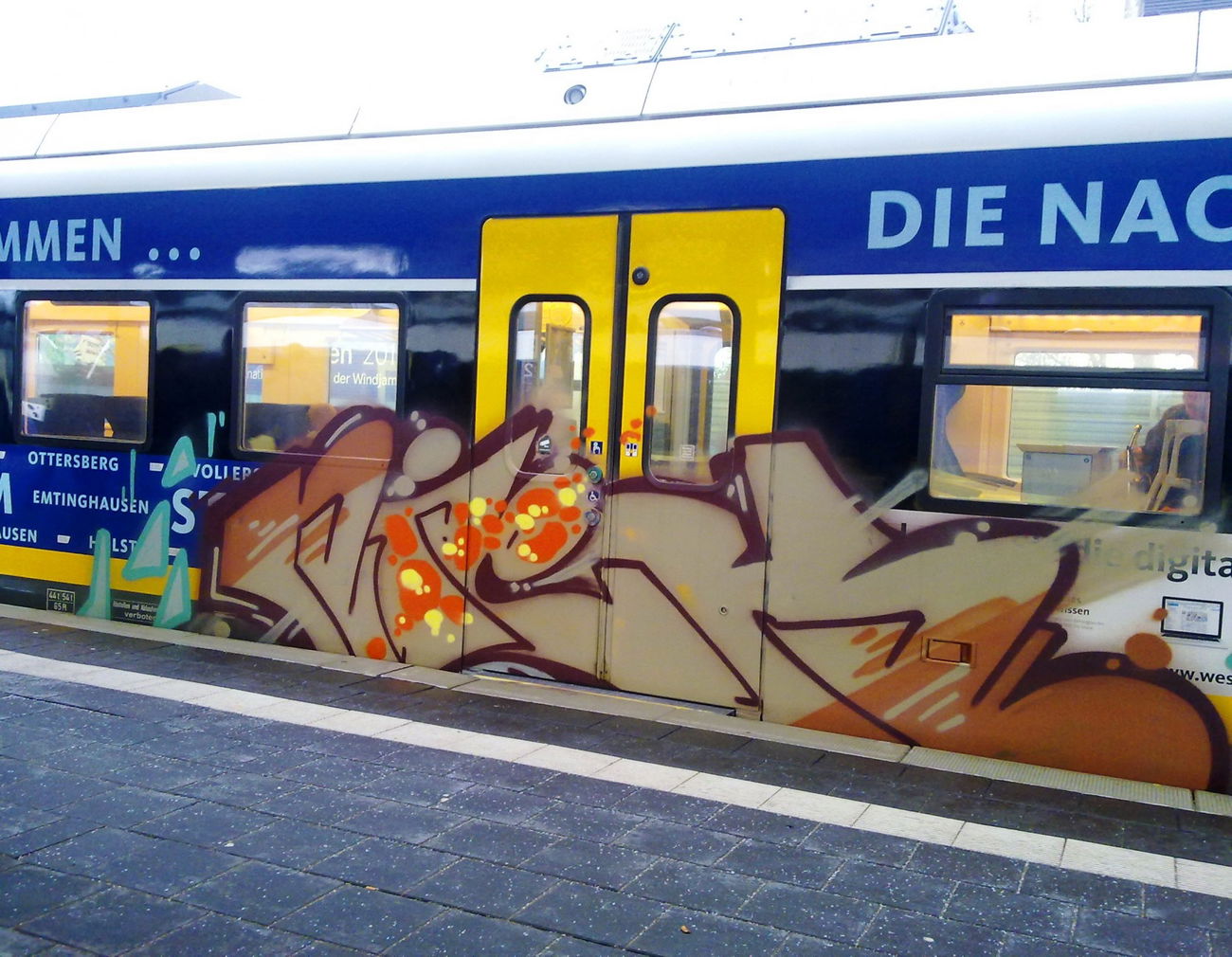 Graffiti Train - Photo by ZUGZWANG - niek (2016)