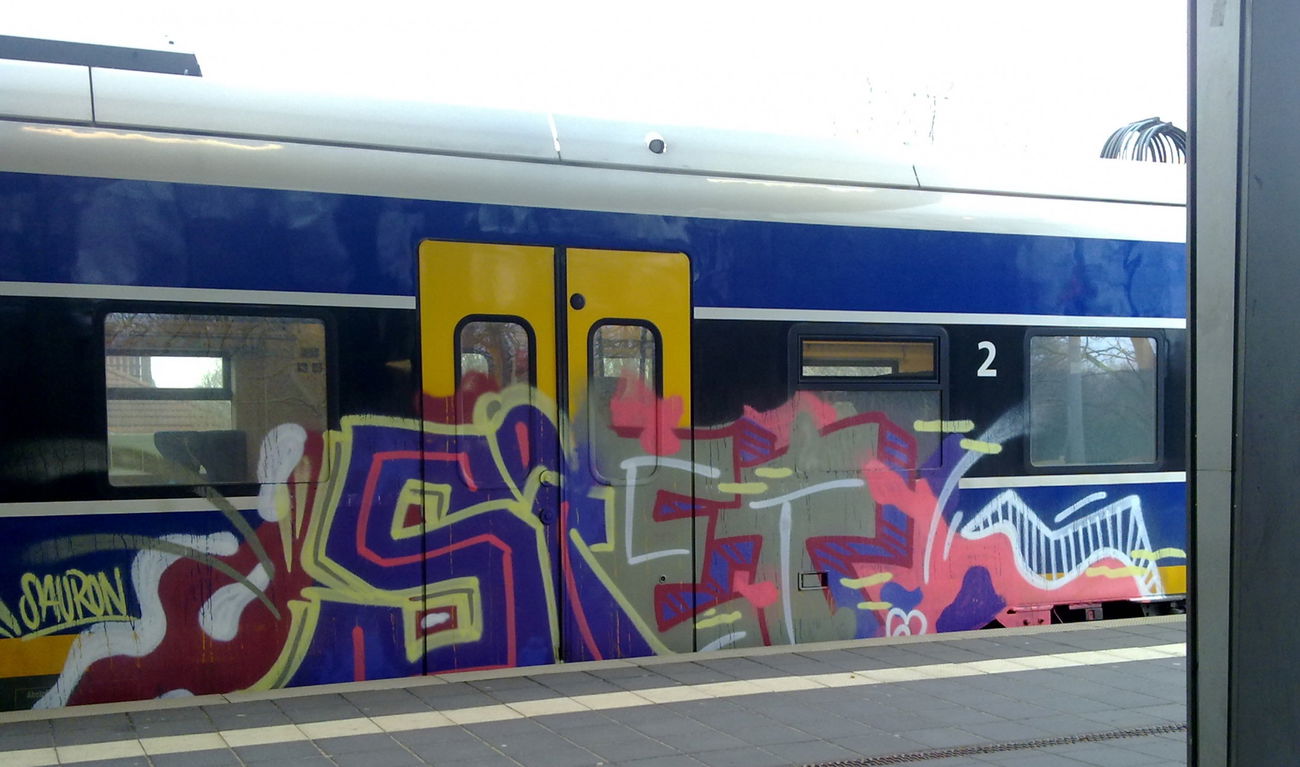 Graffiti Train - Photo by ZUGZWANG - siet (2016)