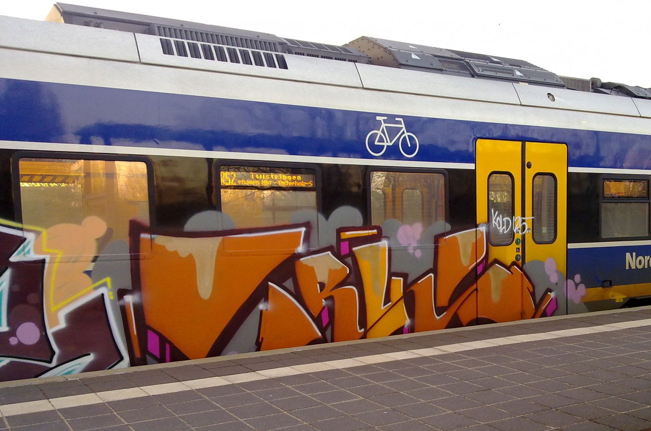 Graffiti Train - Photo by ZUGZWANG (2017)