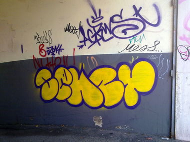 Graffiti Bombing - Photo by ZUGZWANG