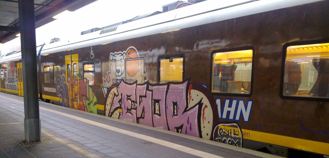 Graffiti Train - Photo by ZUGZWANG - esor (2017)
