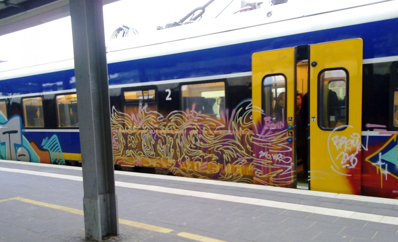 Graffiti Train - Photo by ZUGZWANG (2017)