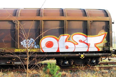 Graffiti Train - Photo by ZUGZWANG - obst (2014)