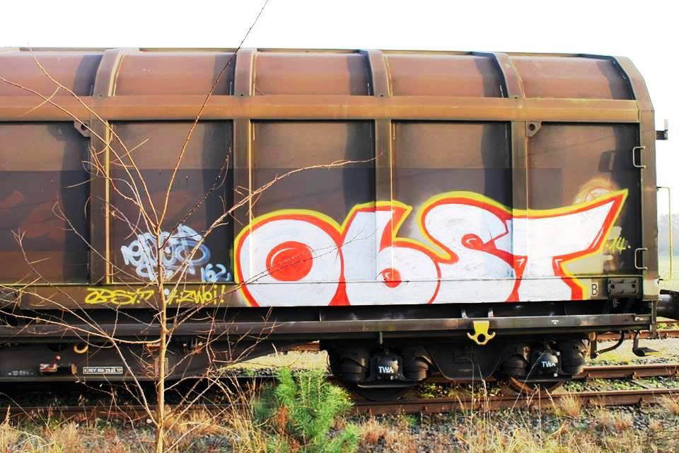 Graffiti Train - Photo by ZUGZWANG - obst (2014)