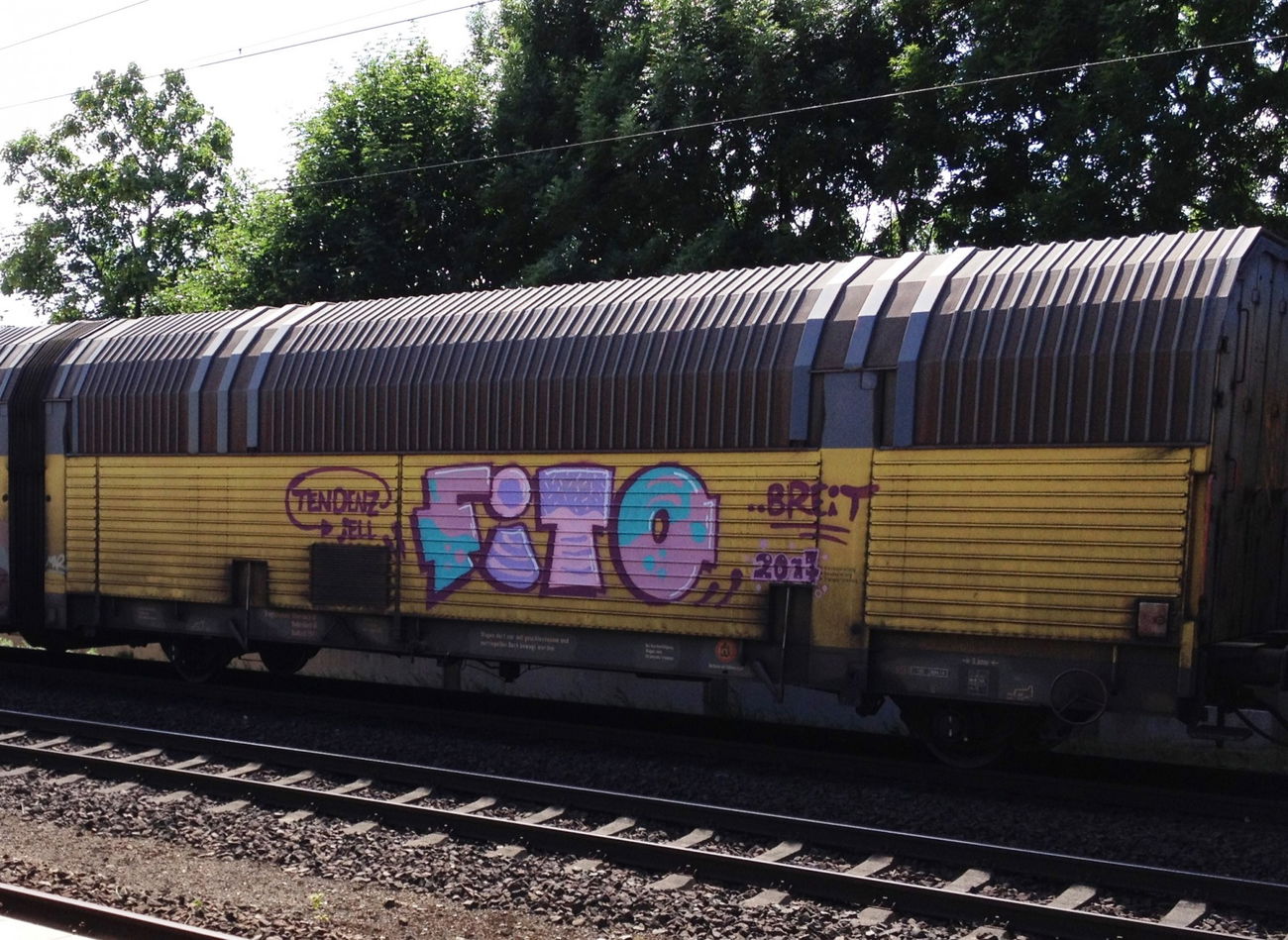 Graffiti Train - Photo by ZUGZWANG - fito