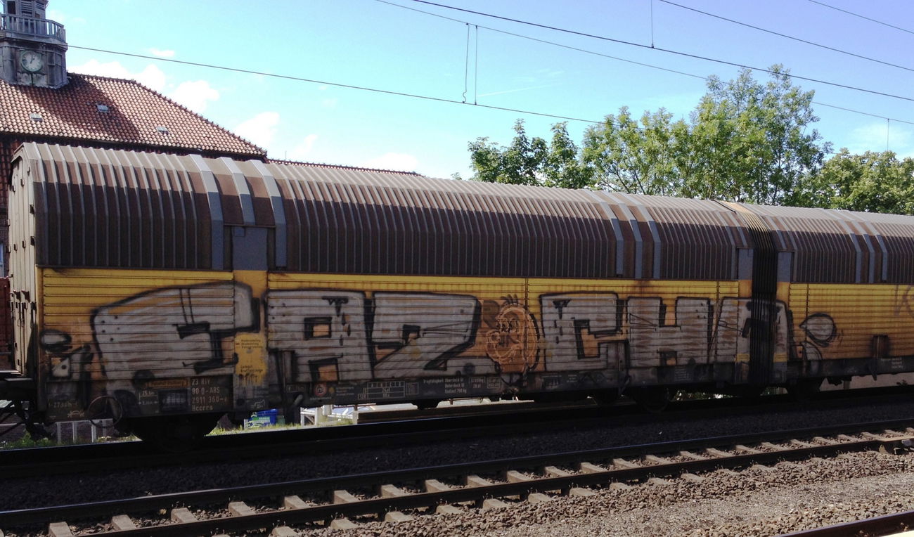 Graffiti Train - Photo by ZUGZWANG - faz, chile