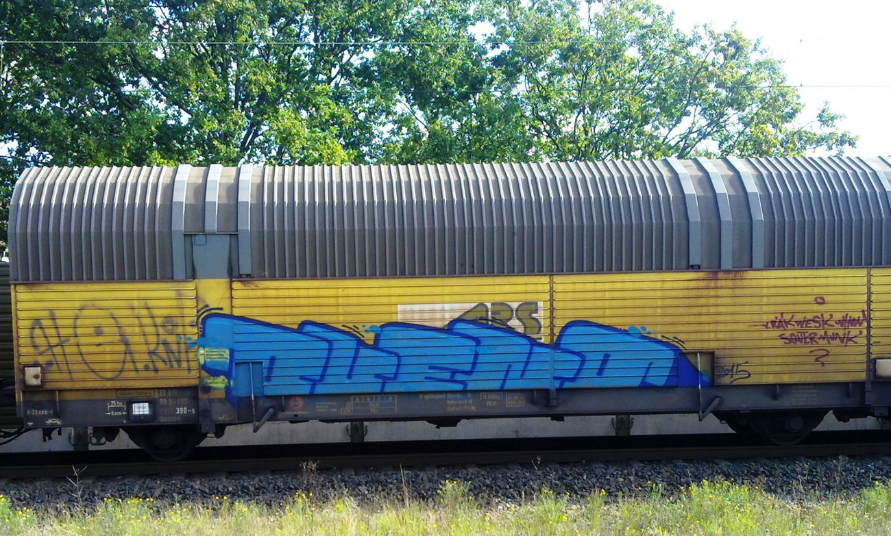 Graffiti Train - Photo by ZUGZWANG - bueno