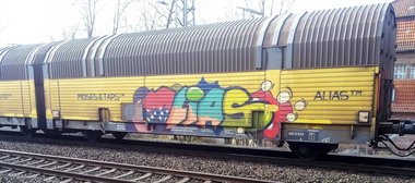 Graffiti Train - Photo by ZUGZWANG - moses, taps, alias