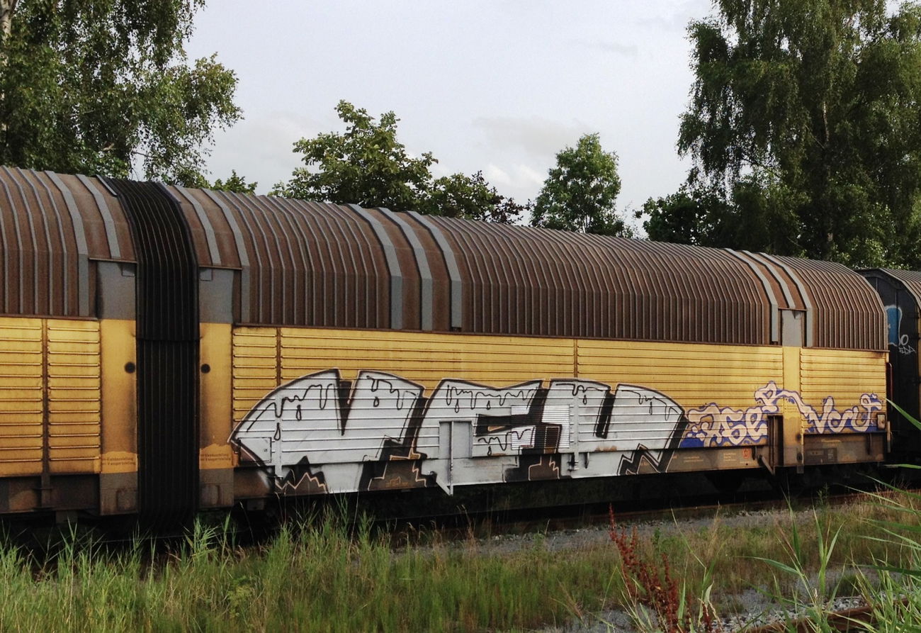 Graffiti Train - Photo by ZUGZWANG - vcu