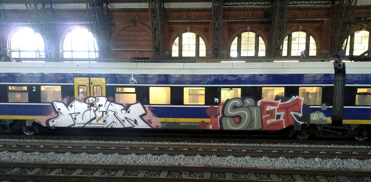 Graffiti Train - Photo by ZUGZWANG - niek, siet (2017)