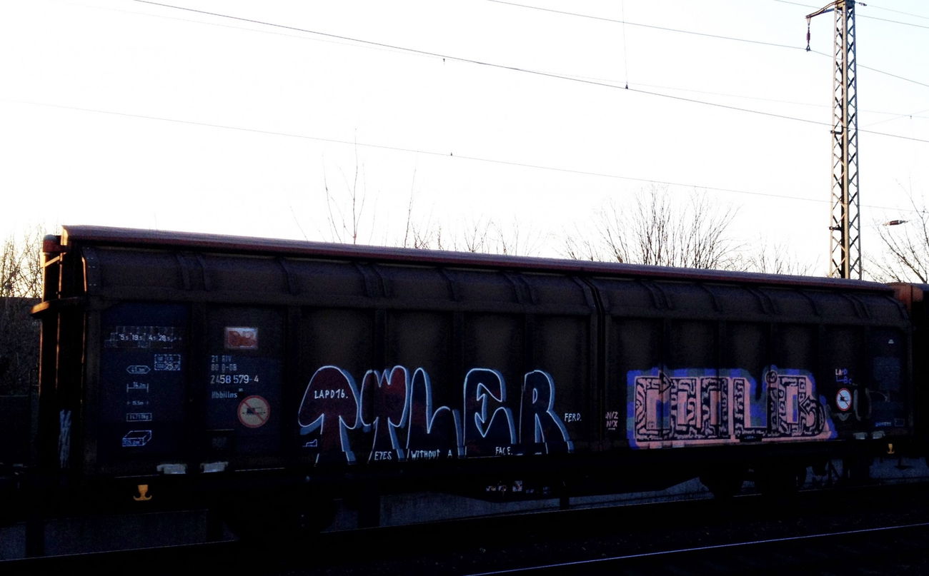 Graffiti Train - Photo by ZUGZWANG - tyler