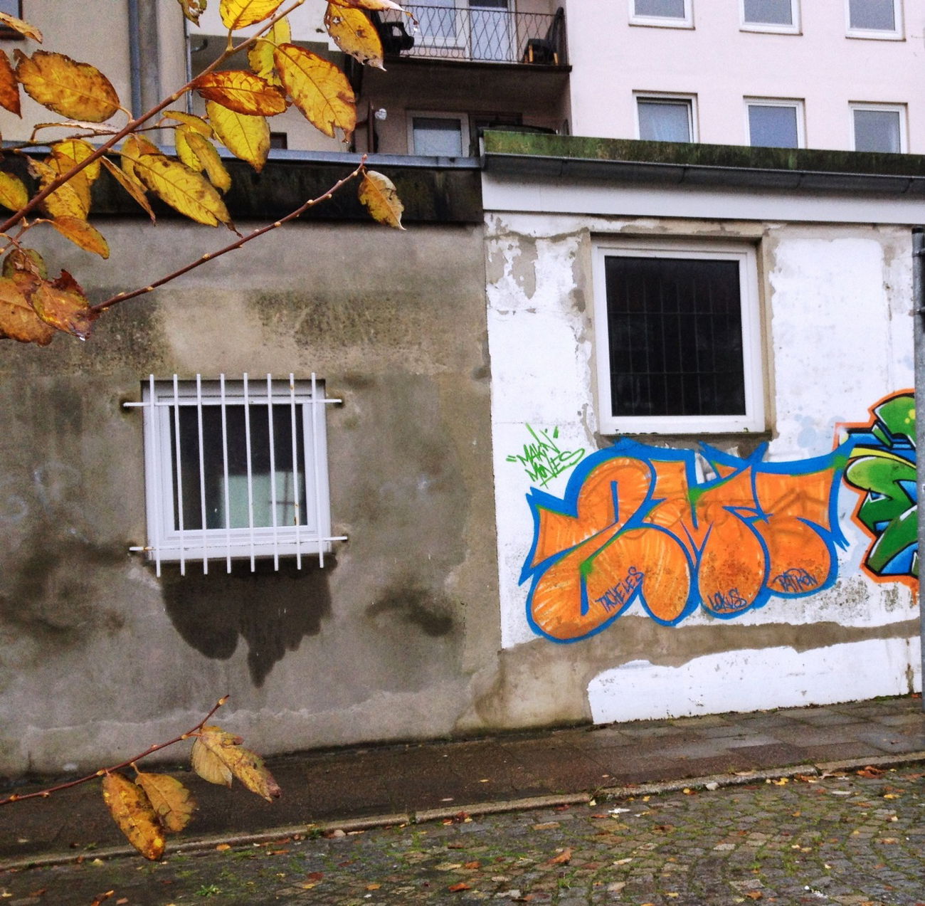 Graffiti Bombing - Photo by ZUGZWANG