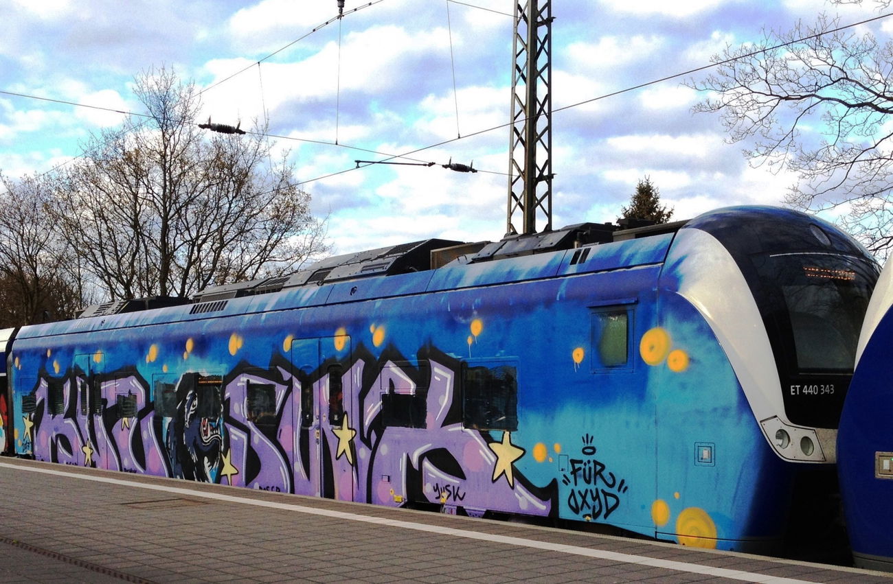 Graffiti Train - Photo by ZUGZWANG - swk (2017)