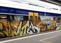 Graffiti Train - Photo by ZUGZWANG - wanted, skin (2017)