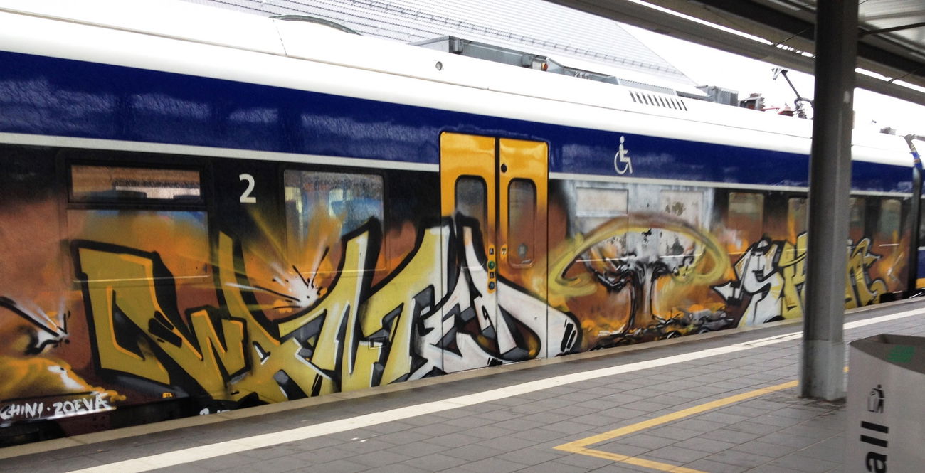 Graffiti Train - Photo by ZUGZWANG - wanted, skin (2017)
