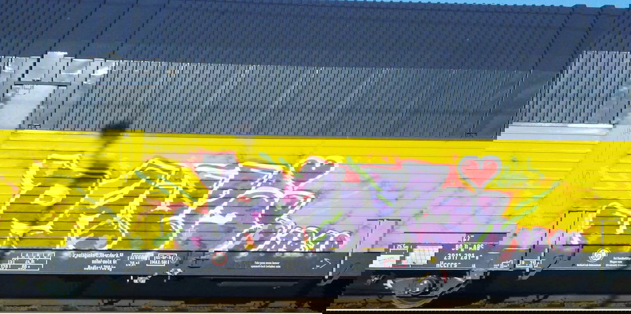 Graffiti Train - Photo by ZUGZWANG - bremerhaven